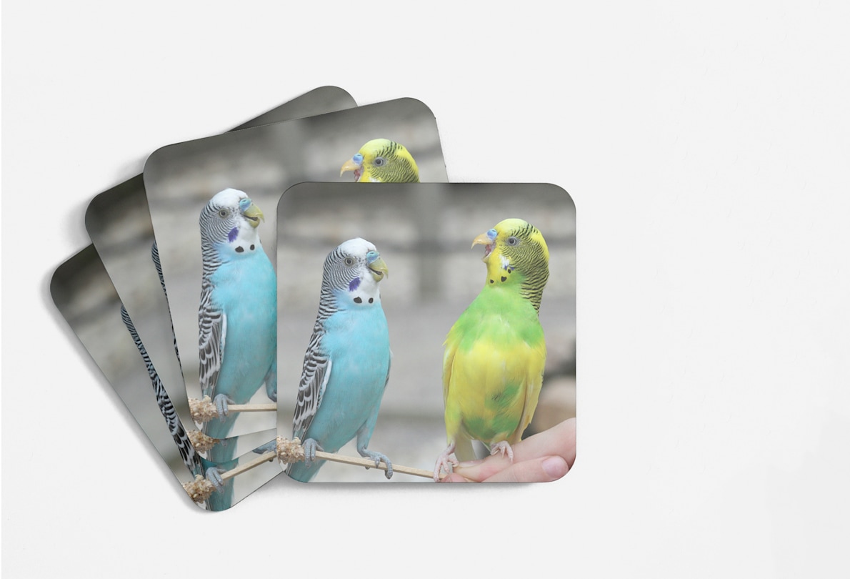 Custom Paper Coasters VistaPrint SG