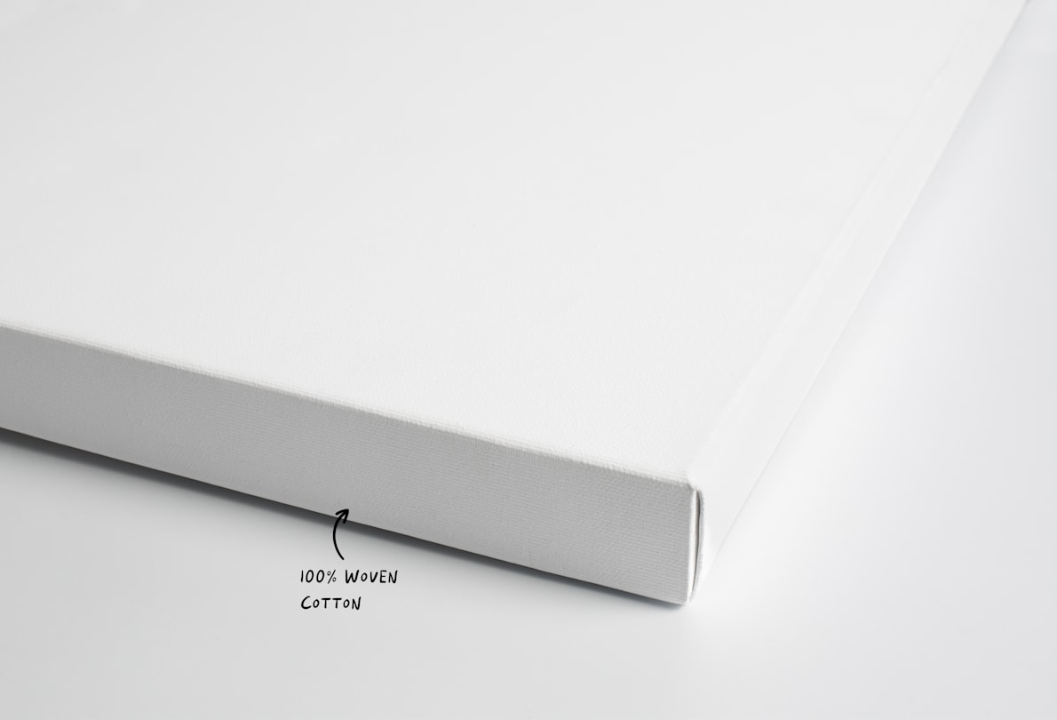 Blank Canvas, Art Canvas VistaPrint NZ