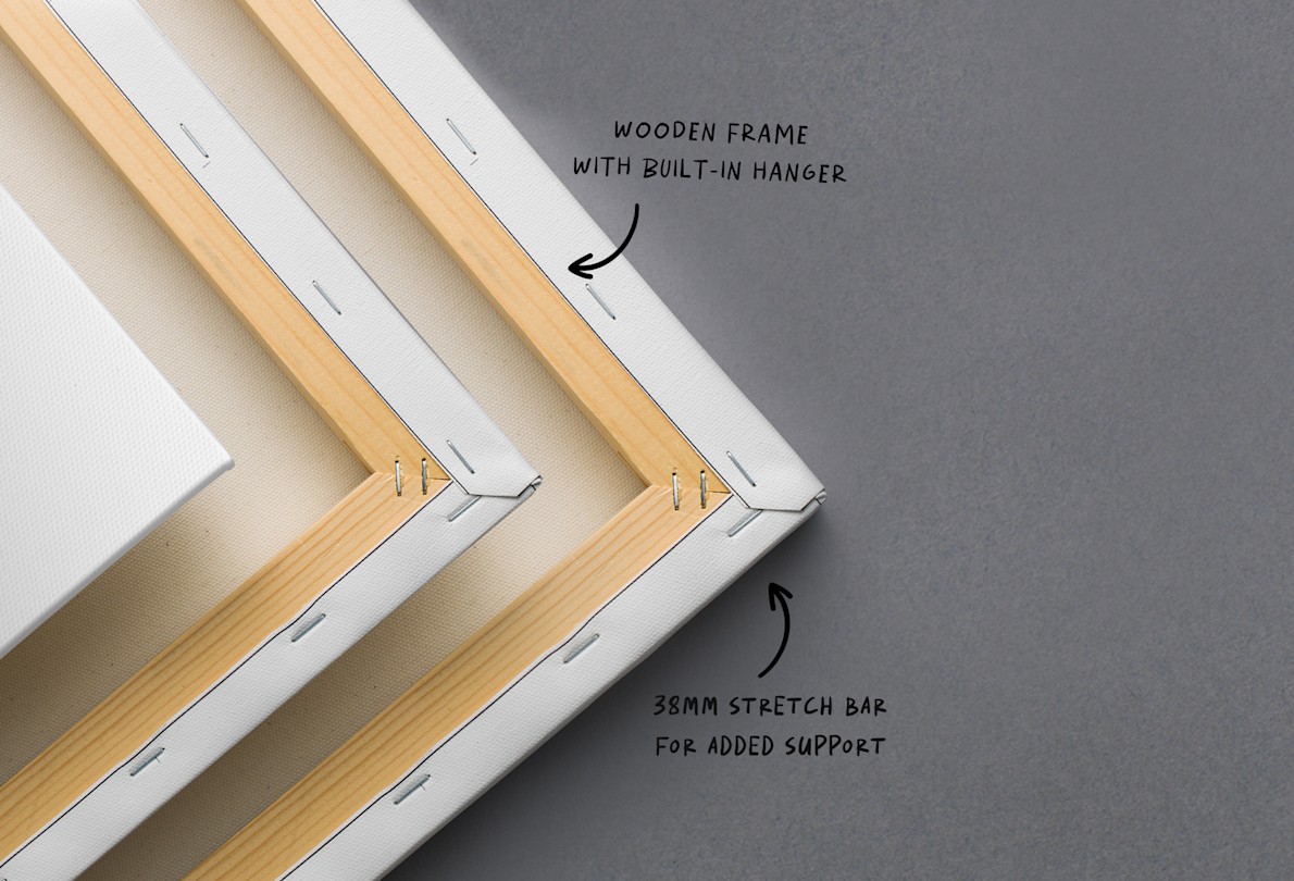 Custom Premium Photo Canvas VistaPrint NZ