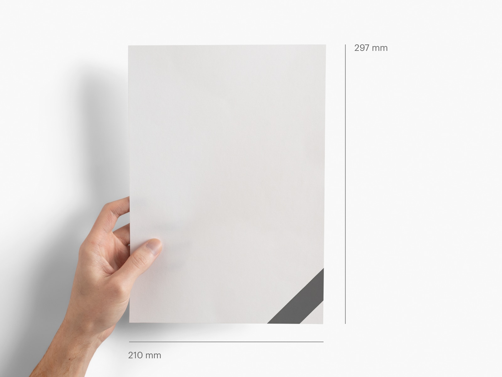 Letterhead 6