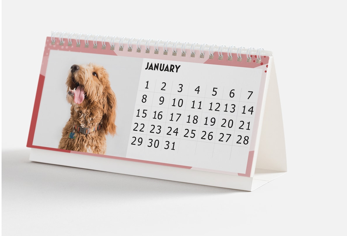 Desk Calendars 2024 Personalised desk calendars Vistaprint SG