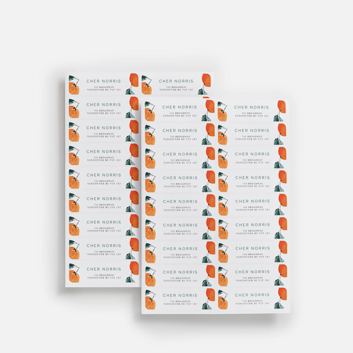 Address Labels & Return Address Labels | VistaPrint Canada