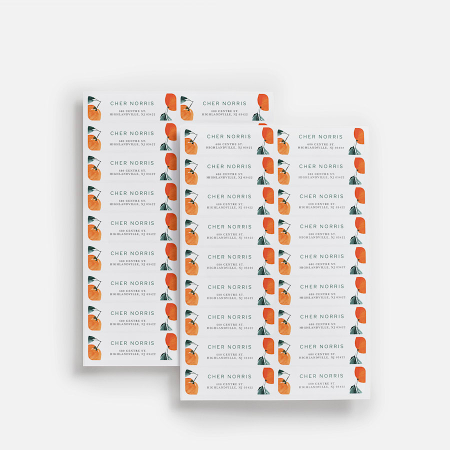Return Address Labels, Custom Address Stickers | VistaPrint