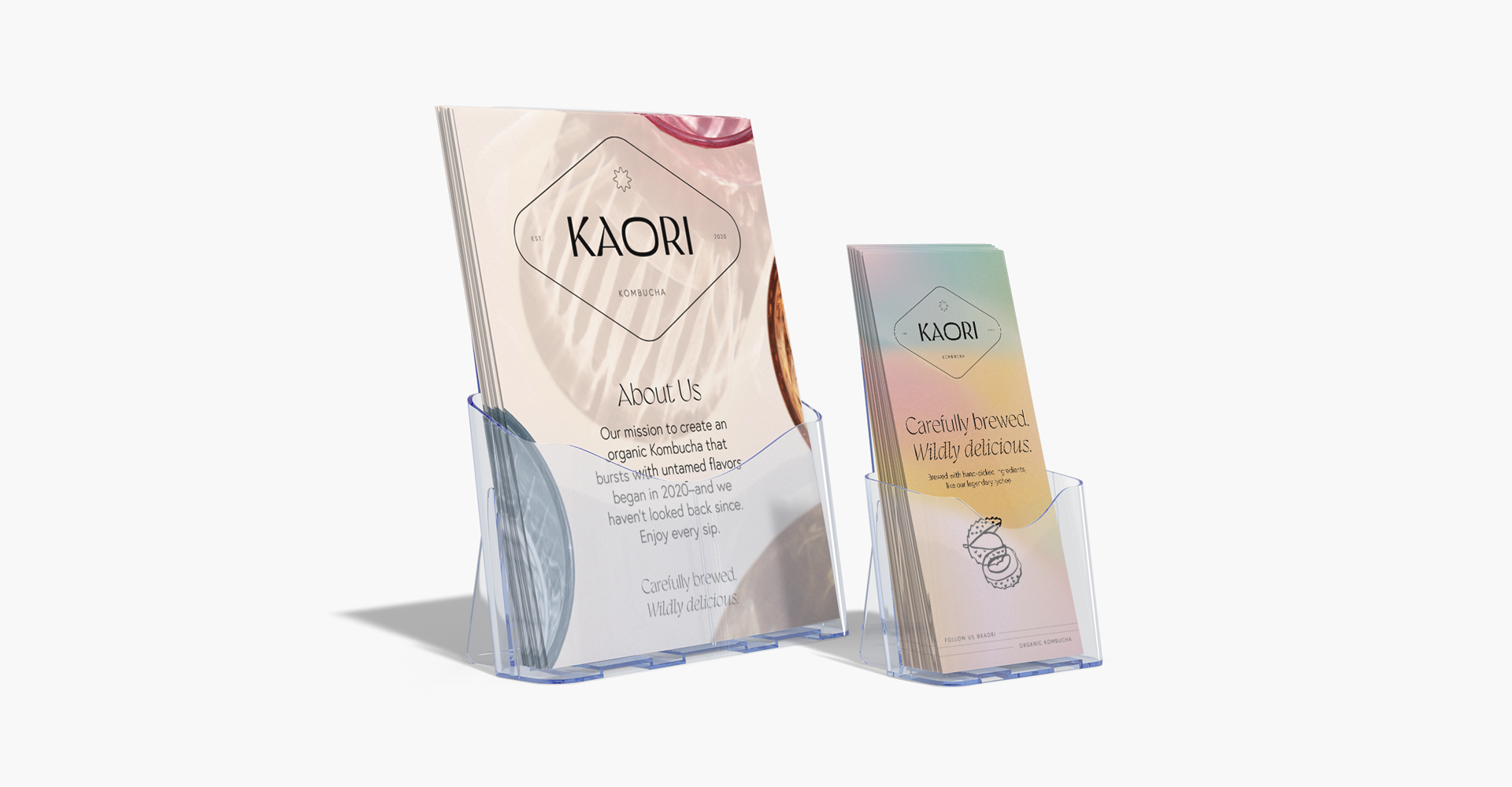 A stack of flyers and brochures in clear plastic holders.
