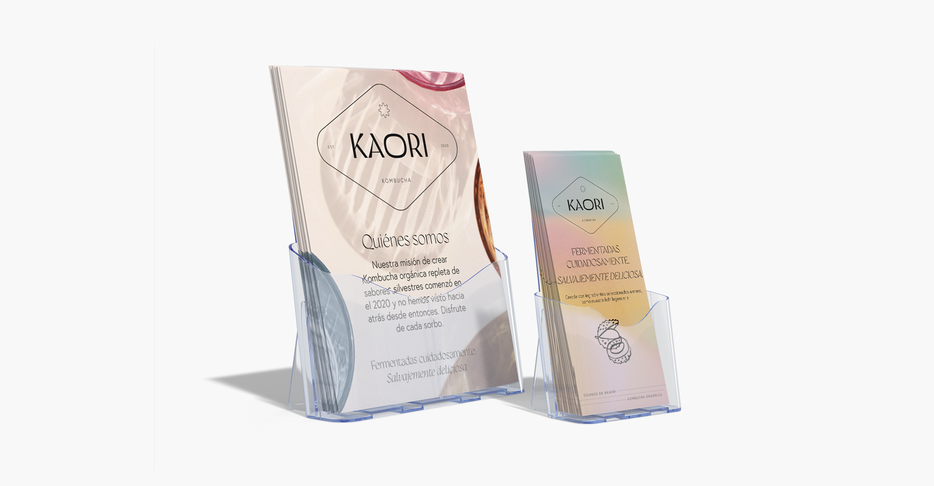 Un conjunto de flyers y folletos en soportes plásticos transparentes.
