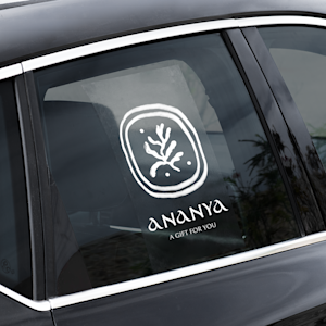 Car Window Decals