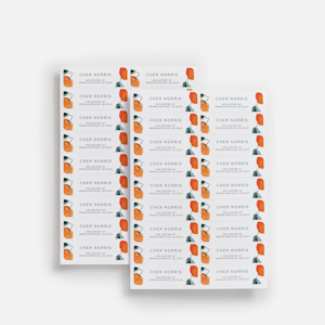 Return Address Labels, Custom Address Stickers | VistaPrint