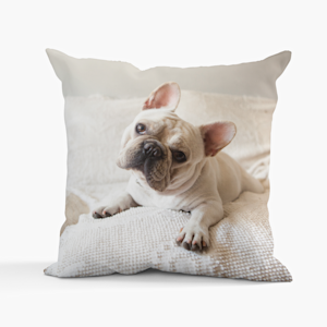 Almohadas con fotos personalizadas hot sale