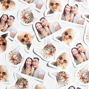 Die cut stickers