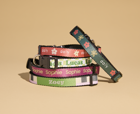 Dog Collars