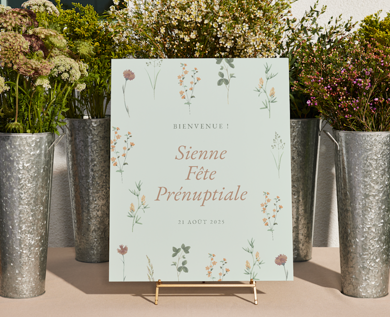 Fournitures et affichage de fête