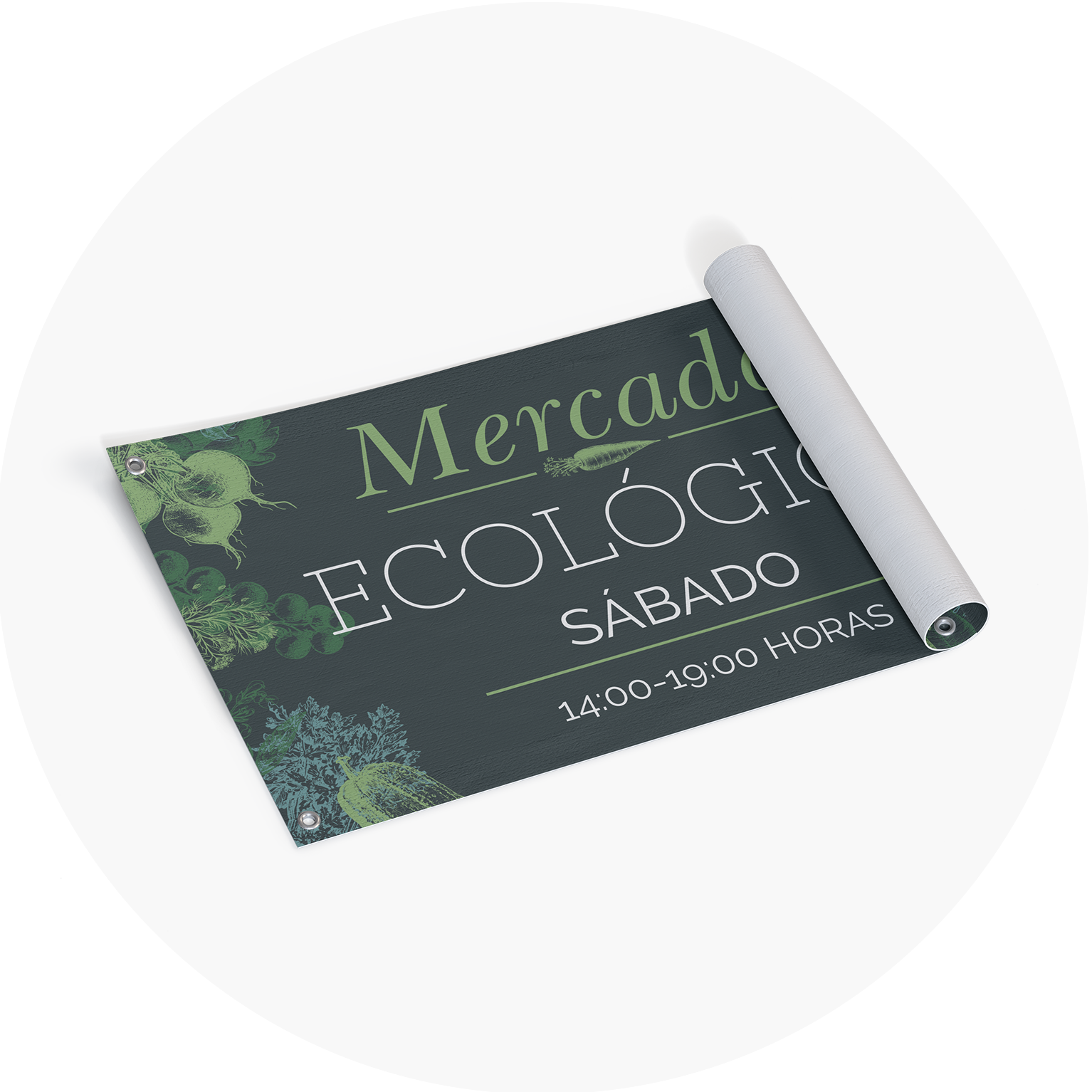 Carteles y pósteres