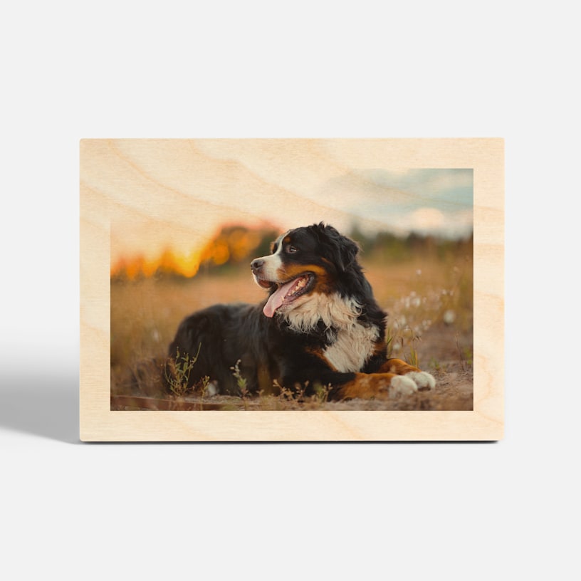 A custom wood print featuring a dog photo. 