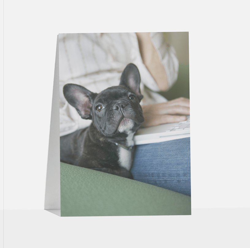 Beispiel 6 für ausgewähltes Produkt