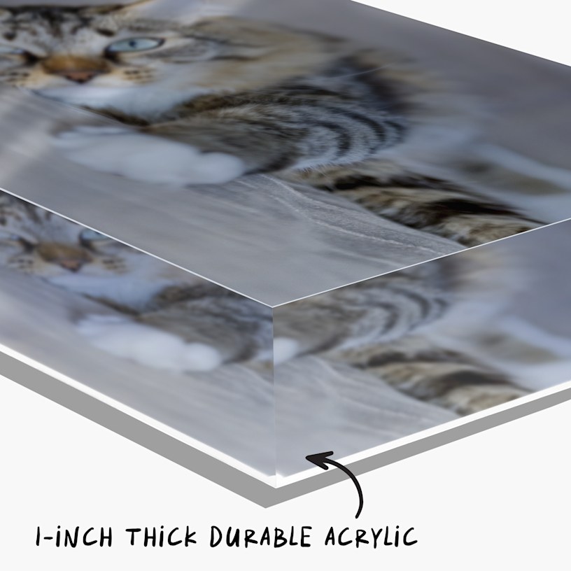 An acrylic photo block personalized with a cat photo, with a note that reads: “Durable 1” thick acrylic”. 