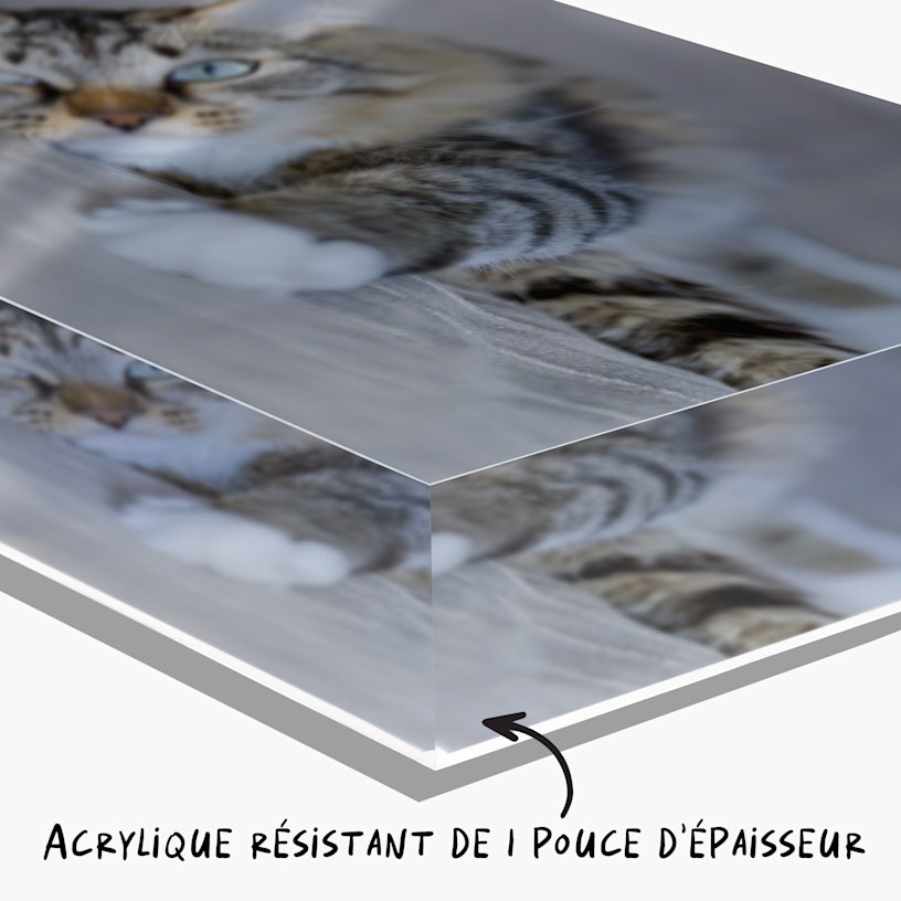 Un bloc photo plexi personnalisé avec la photo d’un chat et une note indiquant : « Plexi robuste de 1 po d’épaisseur ». 