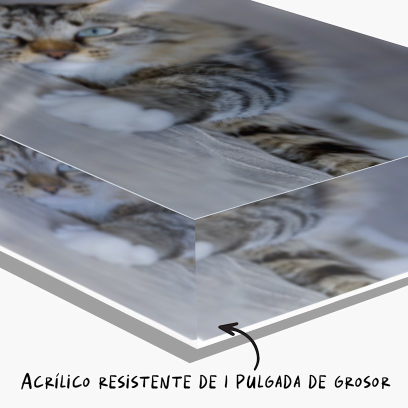 Un bloque acrílico de fotos personalizado con la foto de un gato, con una nota que dice: “Acrílico duradero de 1" de grosor”. 