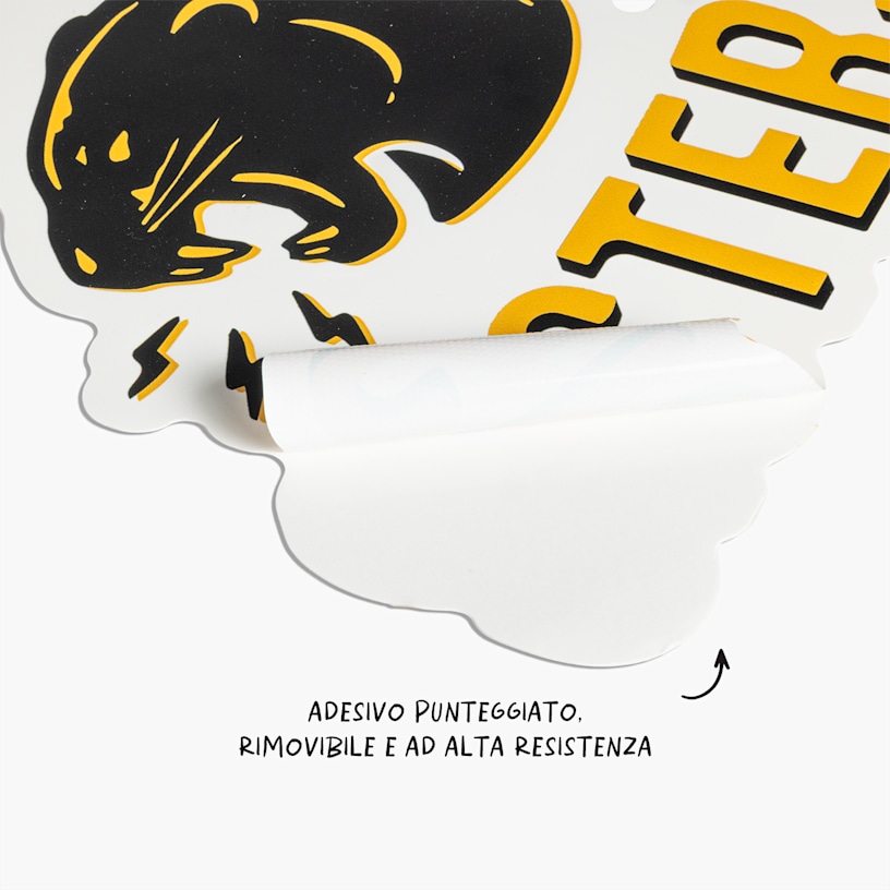 Esempio 8 del prodotto selezionato