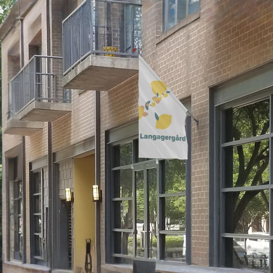 Eksempel 2 på det valgte produkt