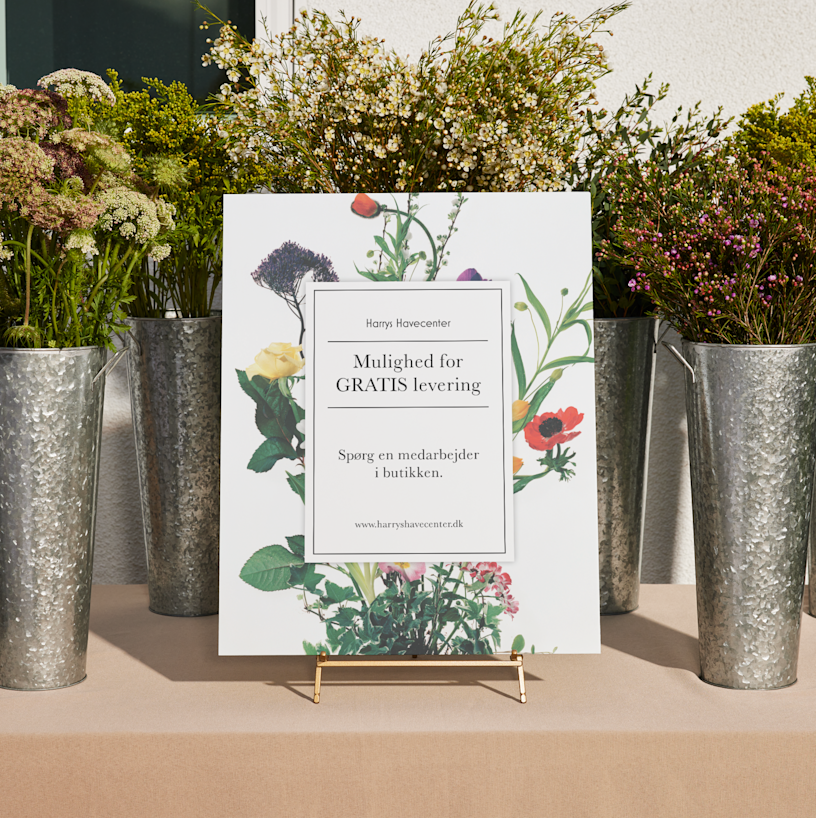 Eksempel 4 på det valgte produkt