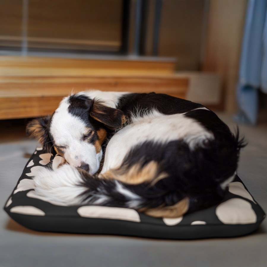 Eksempel 1 på det valgte produkt