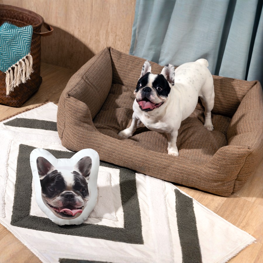 Beispiel 1 für ausgewähltes Produkt