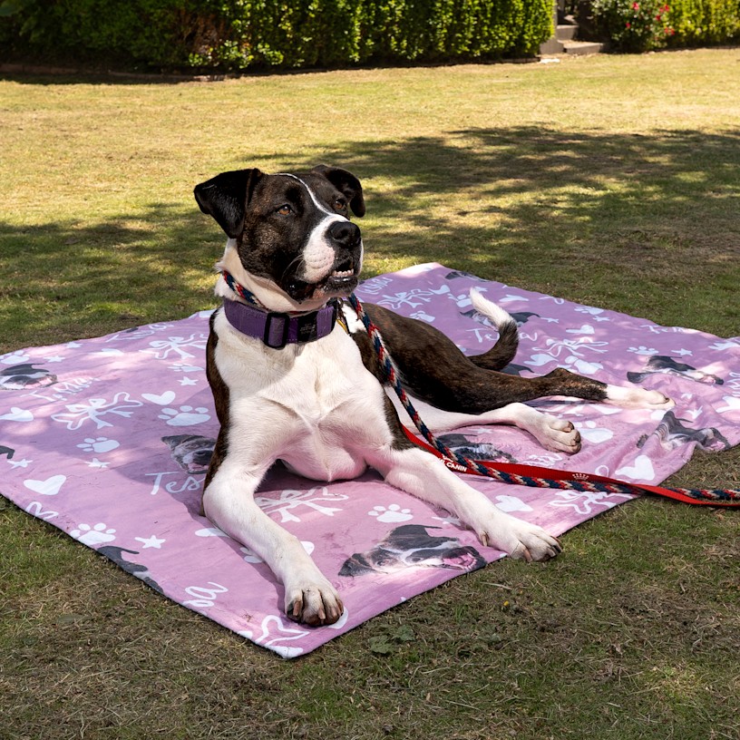 Example 1 of selected product