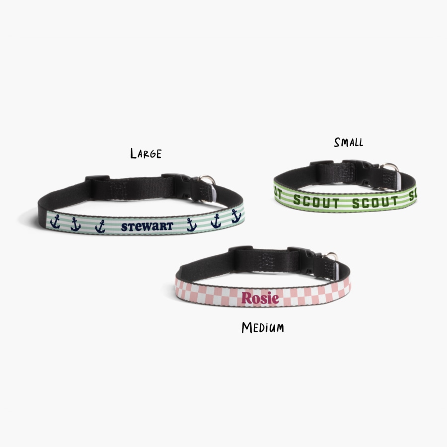 Three personalized dog collars, printed with different names: Stewart, Scout and Rosie, with a note for their respective sizes: Large, Medium and Small. 