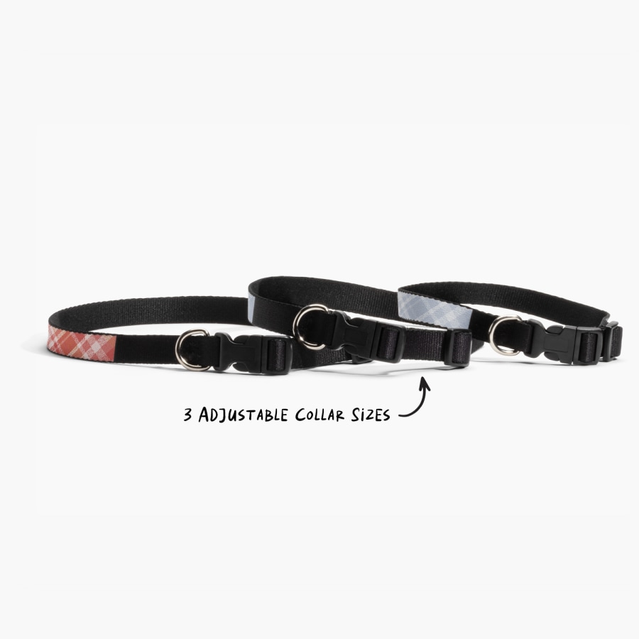 Three custom dog collars, with a note that there are 3 adjustable sizes. 