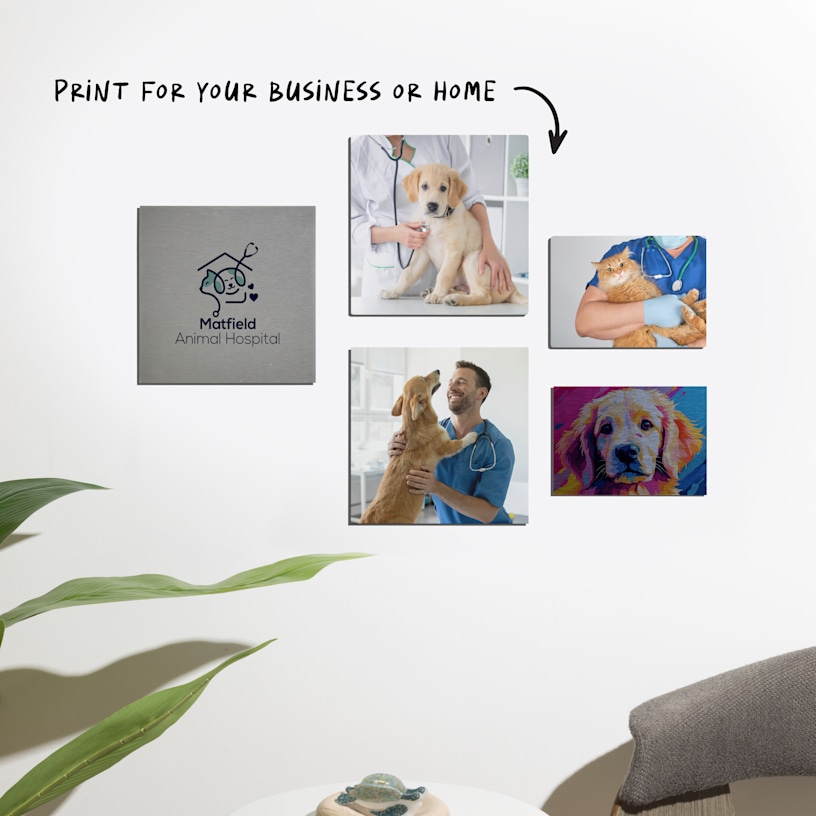 A series of photo tiles displayed at a veterinarian's office, with a note that says, “Print for your business or home.” 