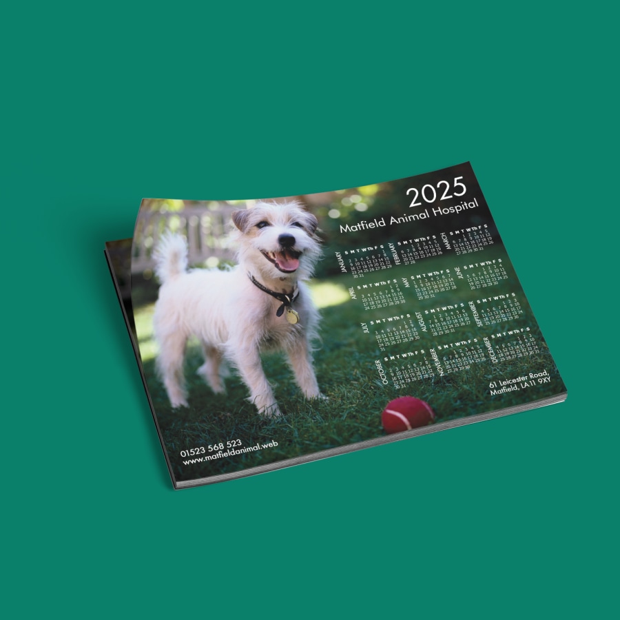 Example 1 of selected product