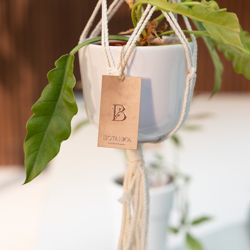 Example 8 of selected product