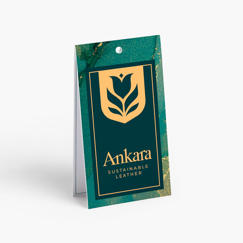 Example 5 of selected product