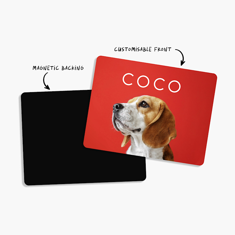 Magnet photo prints