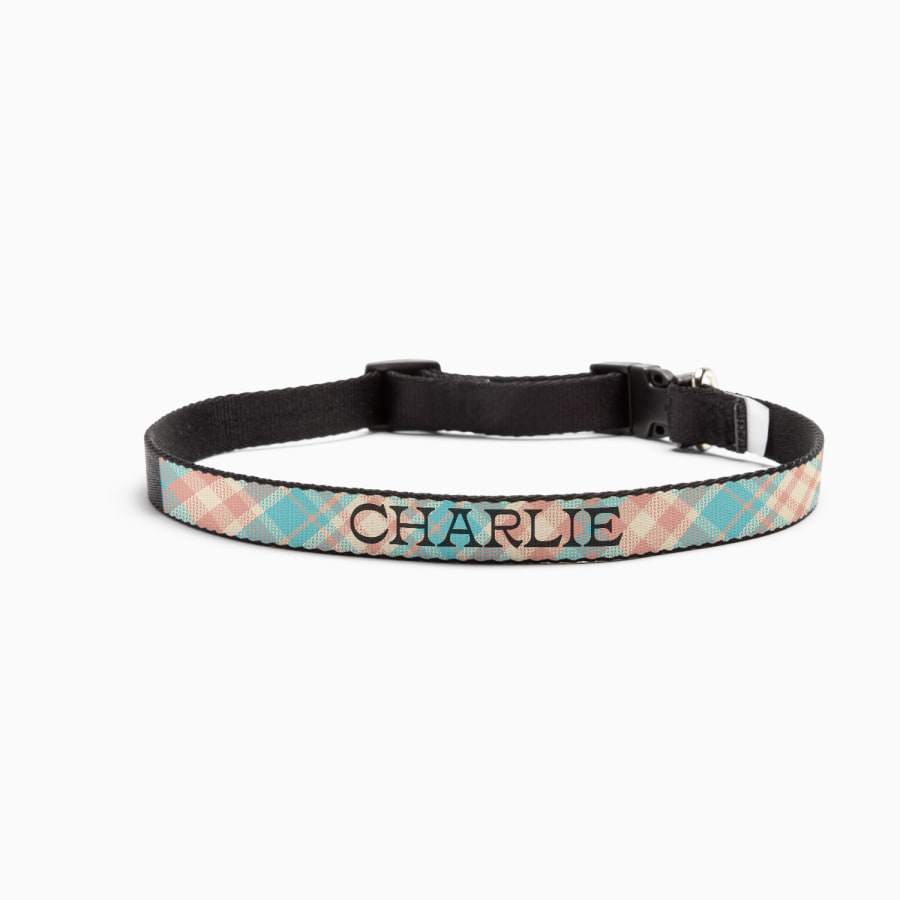 A personalized dog collar printed with the name Charlie. 