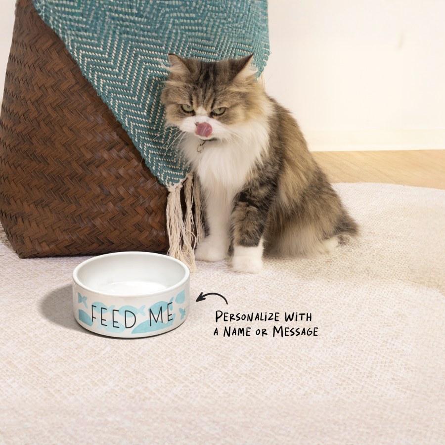 A cat and a custom pet bowl that reads “Feed Me”, along with a note that says you can personalize with a name or message.