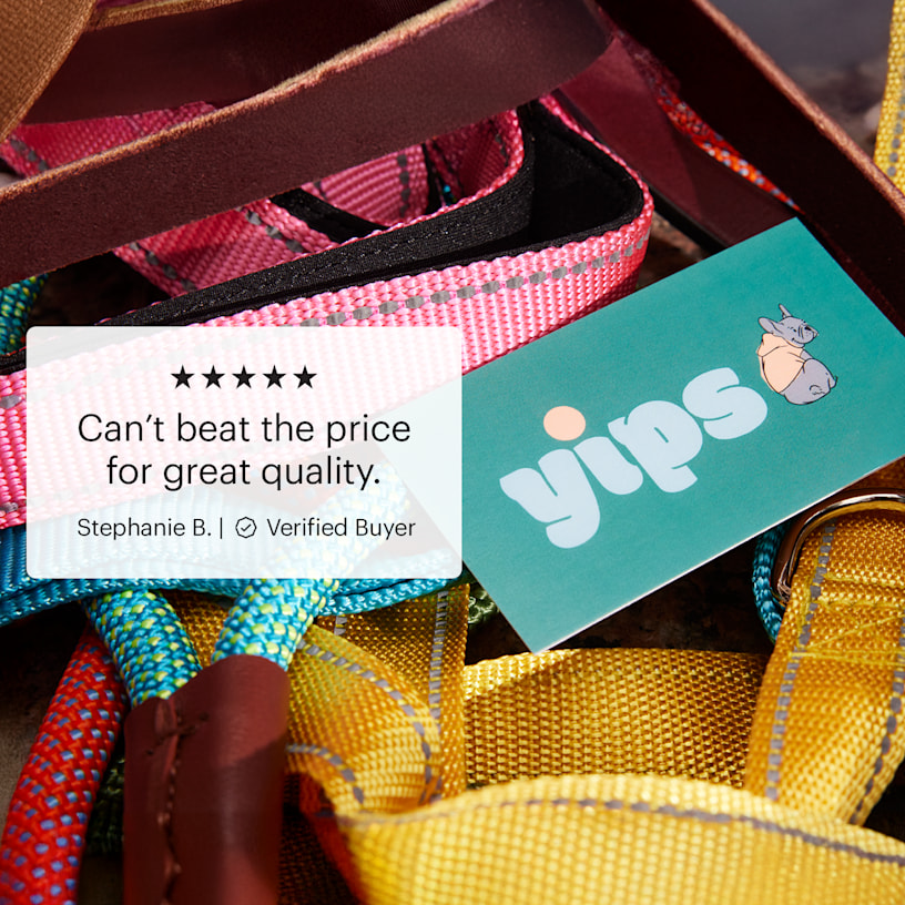 A business card for a dog walker placed on colorful dog leashes, featuring a five-star customer review.