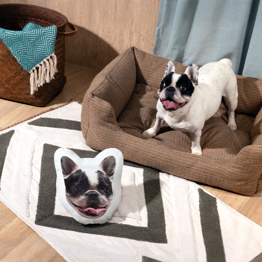 A French bulldog is sitting beside a dog face pillow that features its own face.