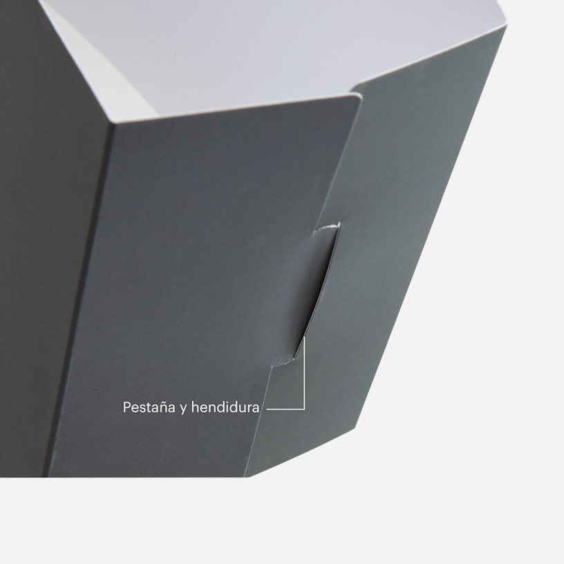 Ejemplo 5 del producto seleccionado