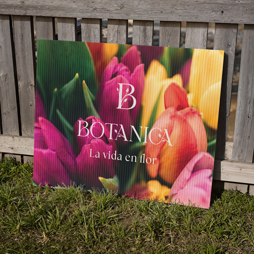 Ejemplo 8 del producto seleccionado