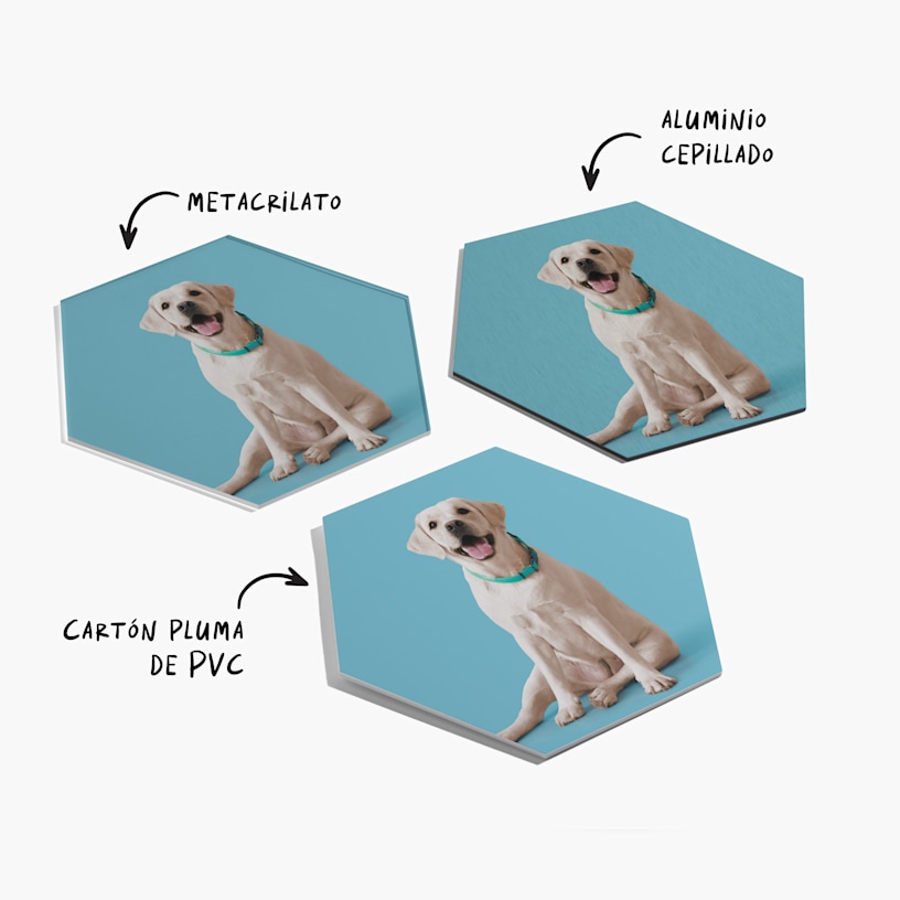 Tres cuadros de fotos adhesivos con un retrato de un perro, además de una nota en la que se indica que están disponibles en metacrilato, aluminio cepillado o cartón pluma de PVC. 