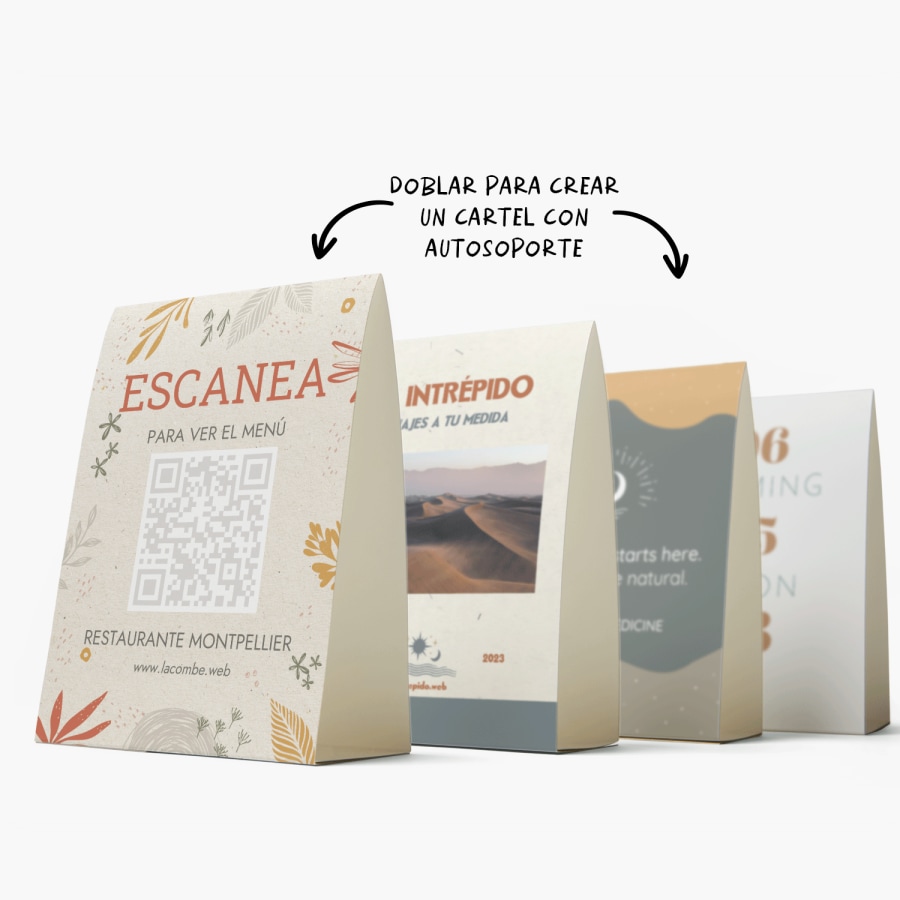 Ejemplo 3 del producto seleccionado