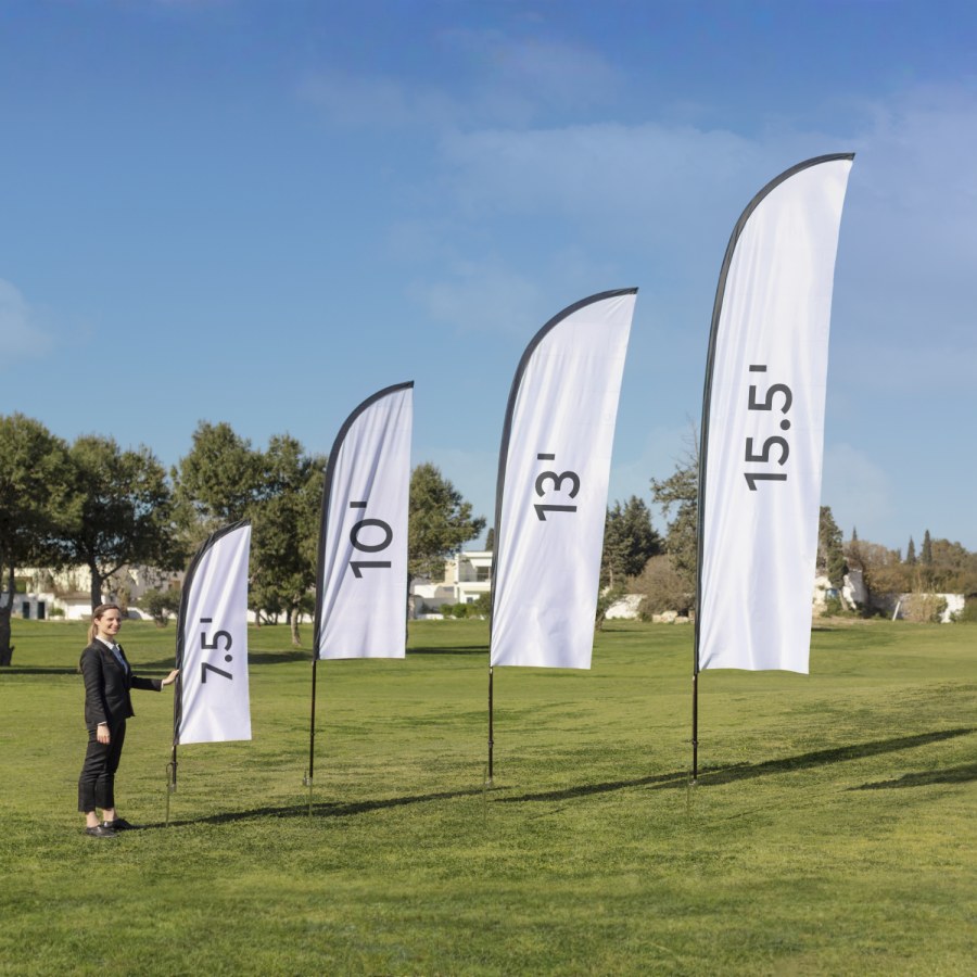 Ejemplo 5 del producto seleccionado