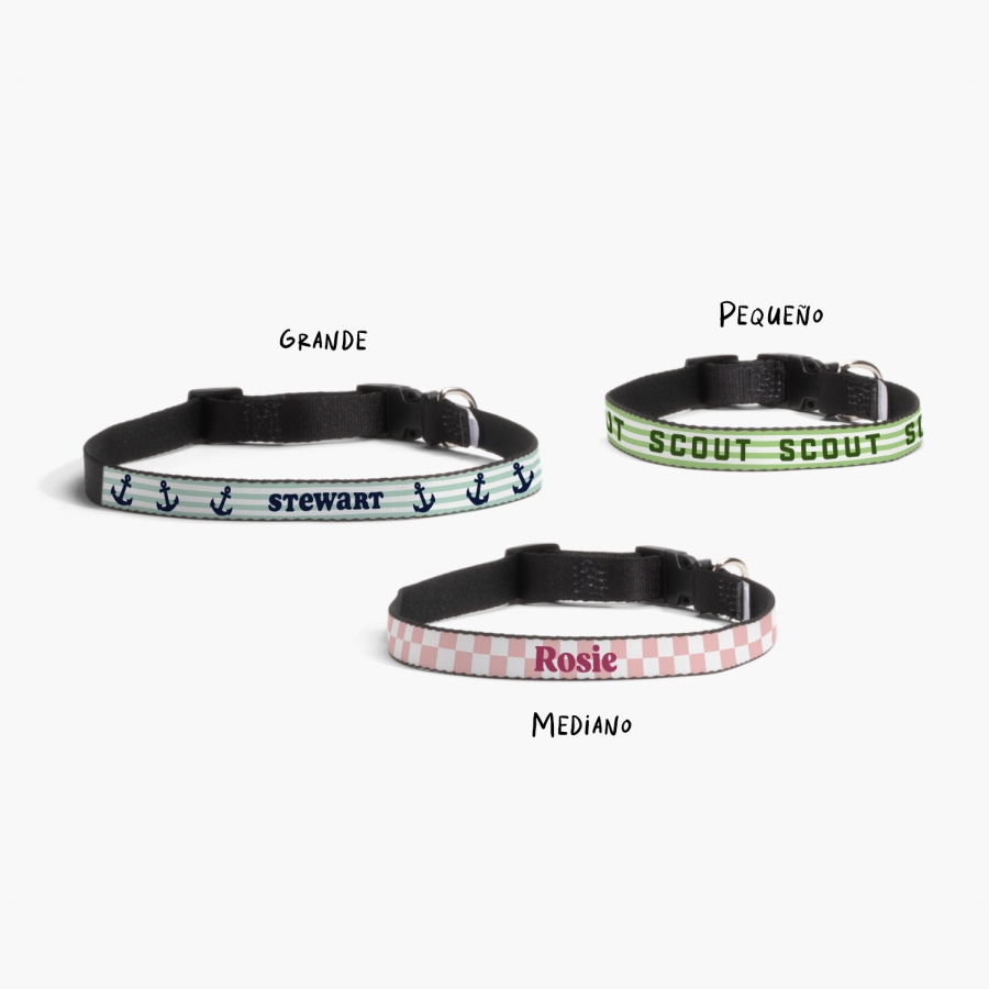 Tres collares para perro personalizados impresos con diferentes nombres: Stewart, Scout y Rosie. Tienen una nota con sus respectivos tamaños: grande, mediano y pequeño. 