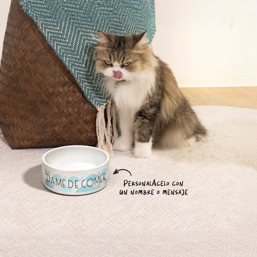 Un gato y un plato para mascotas personalizado que dice “Dame de comer”, junto a una nota que dice que se puede personalizar con un nombre o mensaje.