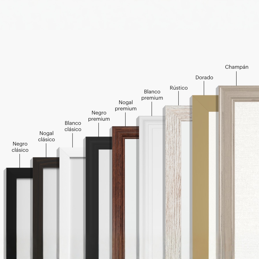  Una colección de 9 marcos colocados uno sobre otro, con sus respectivos nombres arriba según su estilo. 