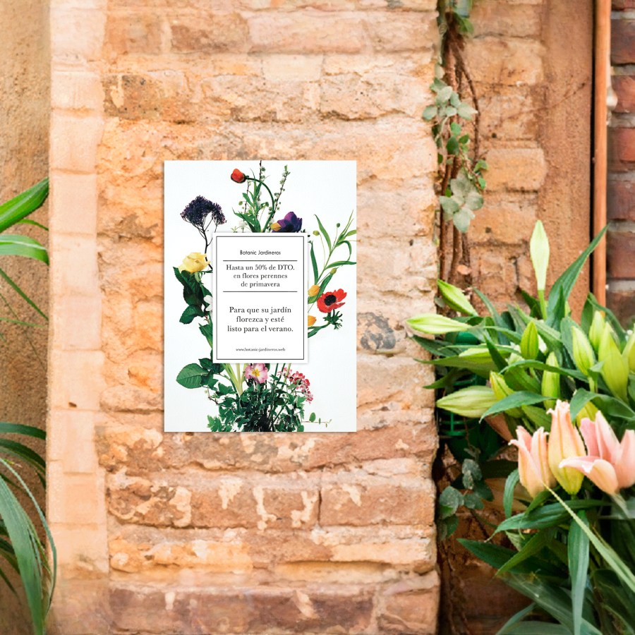 Ejemplo 2 del producto seleccionado