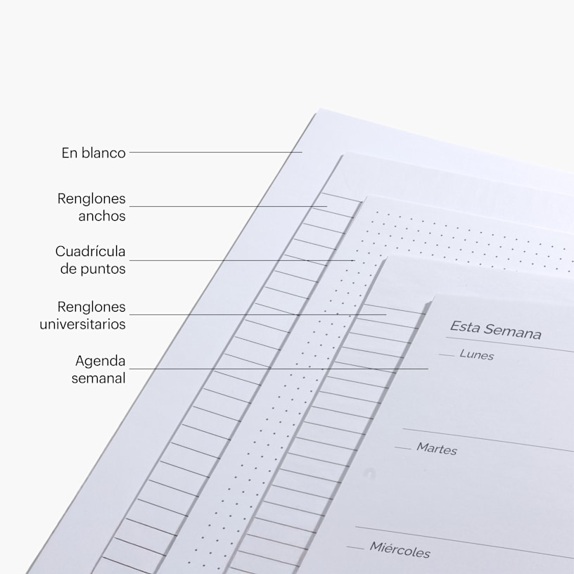 Las páginas interiores de diferentes libretas, incluyendo una en blanco, una con renglones anchos, una con cuadrícula de puntos, una con renglones universitarios y una agenda semanal. 