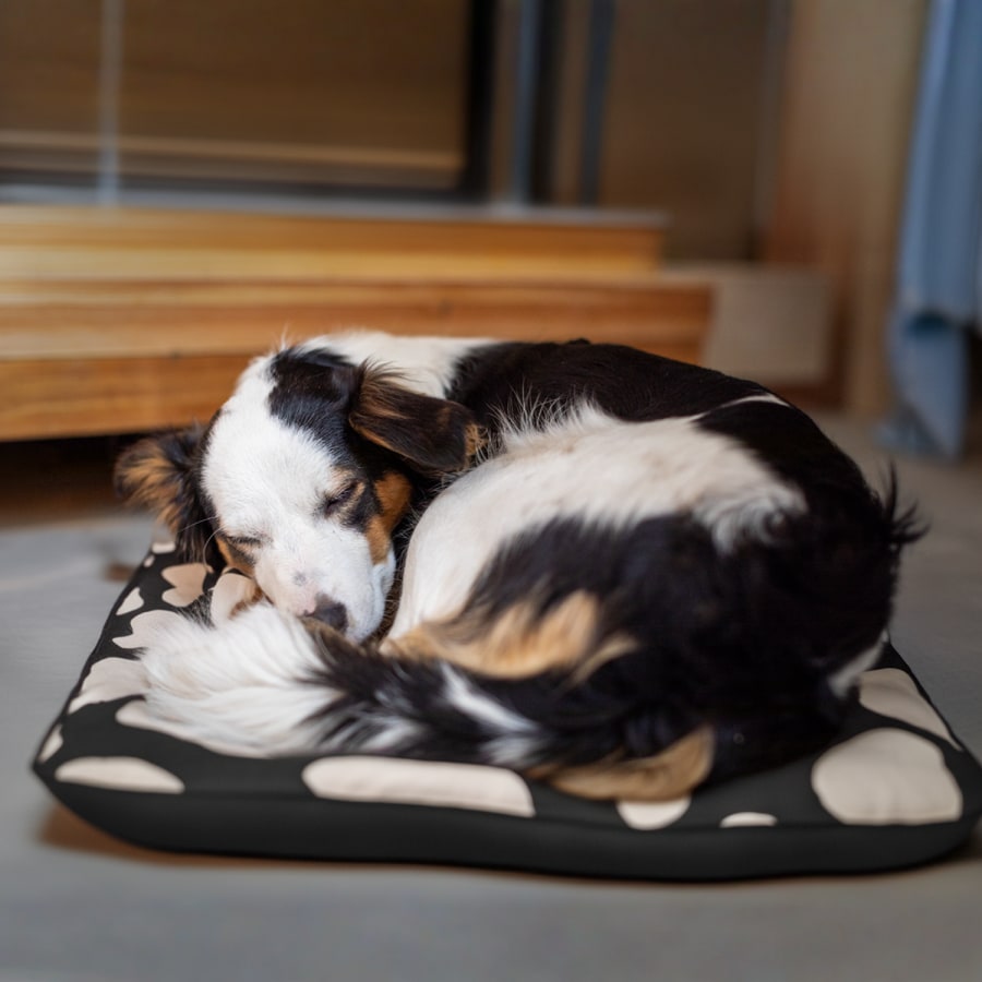 Esimerkki 1 valitusta tuotteesta