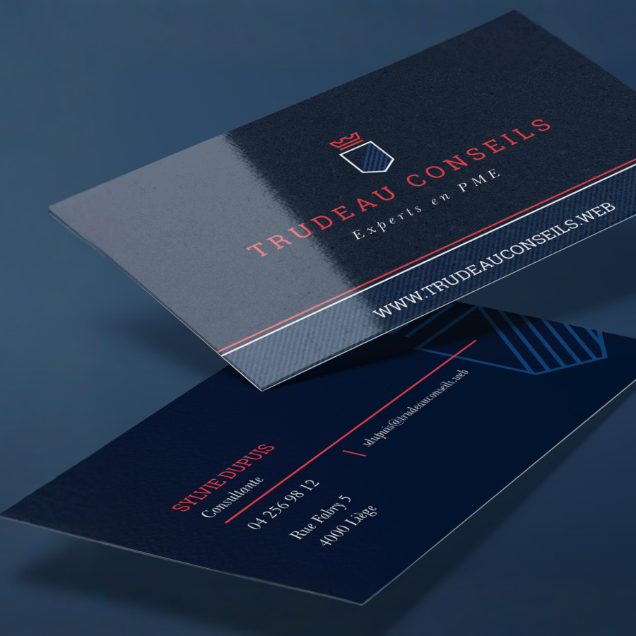 Cartes de visite glacées d’une entreprise de services de conseil, recto et verso.